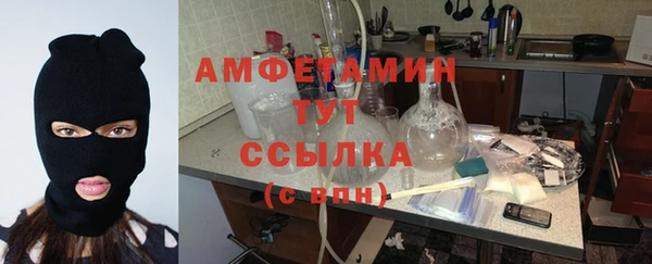 Альфа ПВП Лагань
