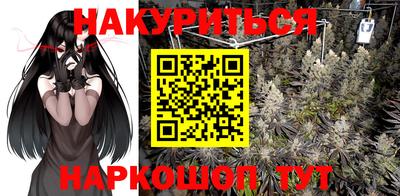 амф Бийск