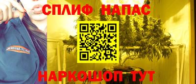 амф Бийск