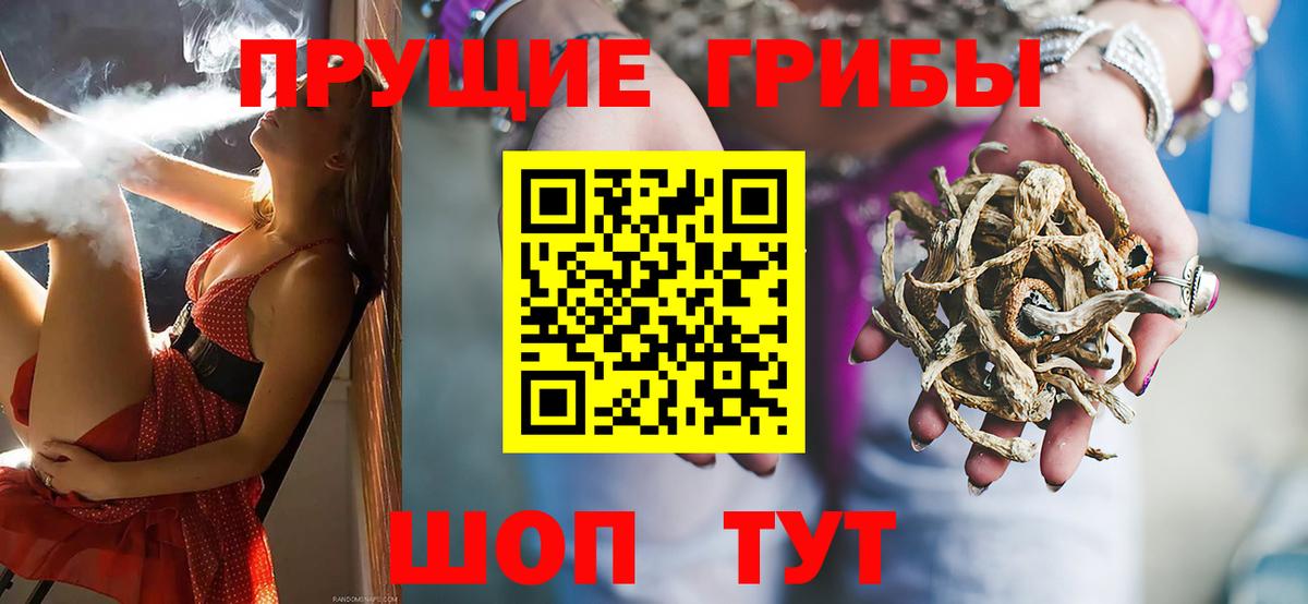 Псилоцибиновые грибы Psilocybe Петровск